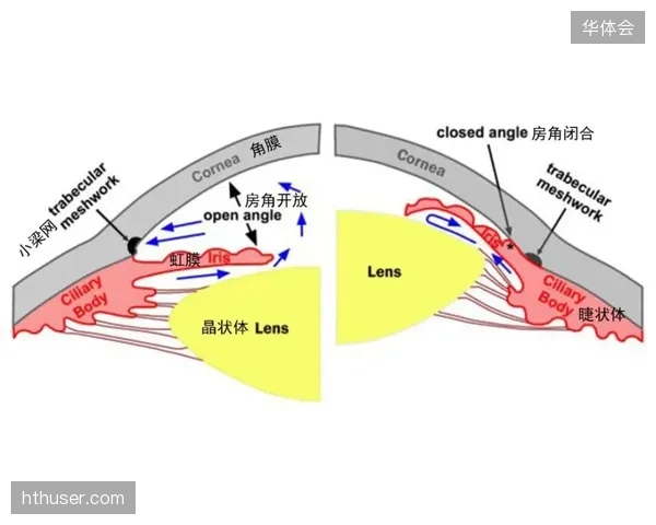 杭州毅行俱乐部应用预测性生物力学模型，挖掘“晚熟型”高潜力运动员